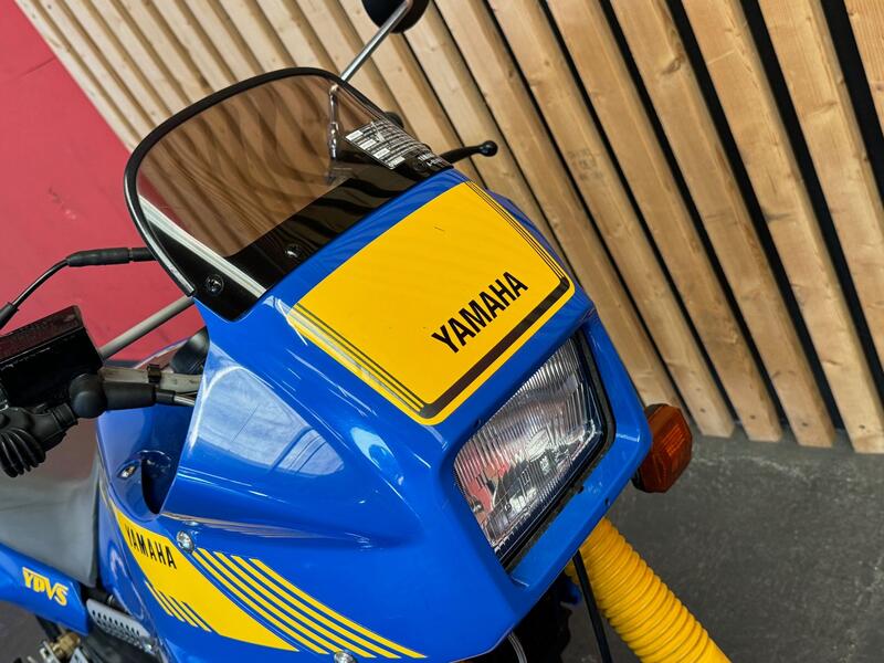 YAMAHA TDR250